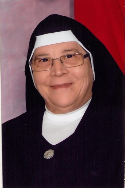 Sucesoras - DESARROLLO DEL INSTITUTO&nbsp; &nbsp;