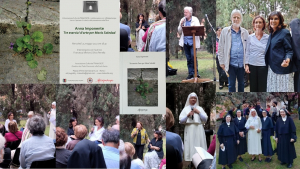 Presentaci&oacute;n libro