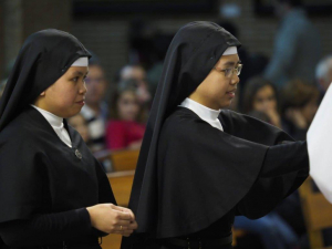 Profesi&oacute;n Perpetua